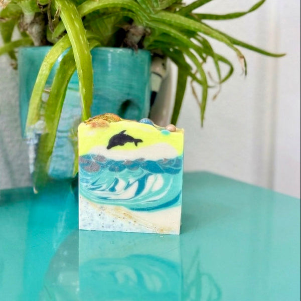 Small rectangular box with a dolphin design on a reflective surface with plants in the background