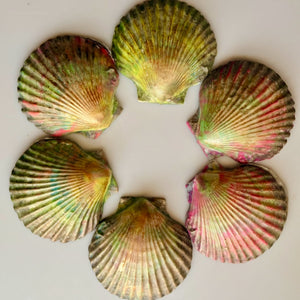 Soap Beach Shells